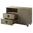 ACME Jennavieve 2-Drawers Aluminum Office Storage Cabinet with Casters in Gold