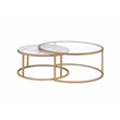 ACME Shanish 2-Piece Round Faux Marble Top Coffee Table Set in Gold and Clear