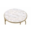 ACME Shanish 2-Piece Round Faux Marble Top Coffee Table Set in Gold and Clear