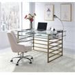 ACME Shona Glass Rectangular Top 1-Shelf Desk in Antique Gold and Clear