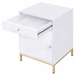 ACME Ottey Engineered Wood 1-Drawer Cabinet in White High Gloss and Gold