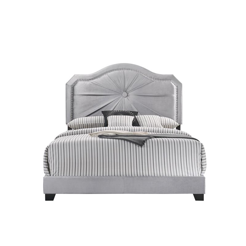 ACME Frankie Queen Bed in Gray Velvet