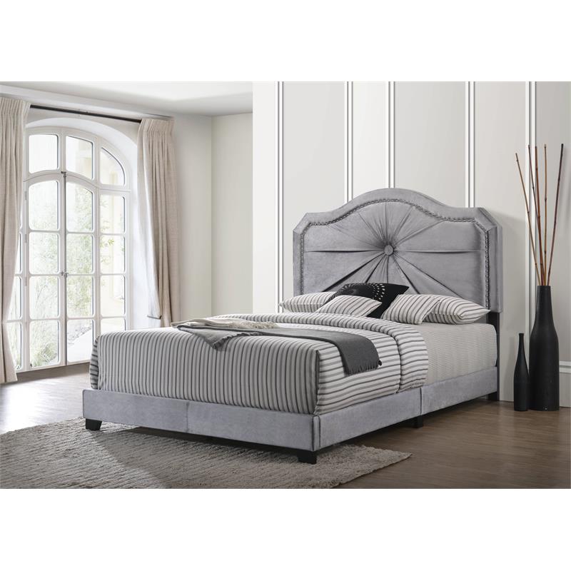 ACME Frankie Queen Bed in Gray Velvet