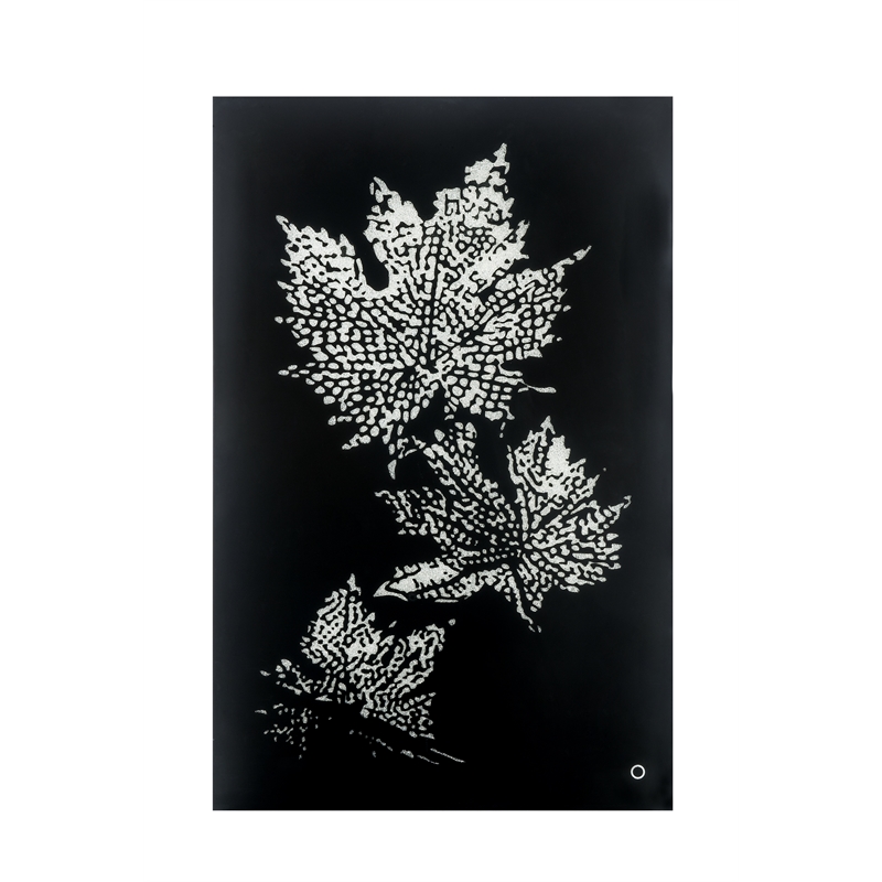 ACME Talisha Glass Rectangle Wall Art with LED Light in Smoky and Faux Crystal