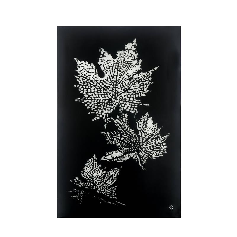 ACME Talisha Glass Rectangle Wall Art with LED Light in Smoky and Faux Crystal