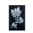 ACME Talisha Glass Rectangle Wall Art with LED Light in Smoky and Faux Crystal