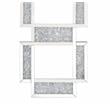 ACME Noralie Wooden Three-Panel Wall Decor Mirror in Mirrored and Faux Diamonds