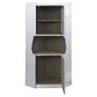 ACME Brancaster 2-Door Storage Corner Cabinet with Open Compartment in Aluminum