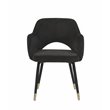 Acme Applewood Accent Chair in Black Velvet & Gold