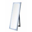 ACME Noralie Wooden Frame Floor Mirror in Mirrored and Faux Diamonds
