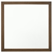 ACME Miquell Contemporary Wood Frame Bedroom Square Mirror in Oak