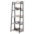 ACME Wendral 5 Wooden Tiers Ladder Bookshelf in Natural and Black
