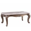 ACME Jayceon Rectangular Wooden Marble Top Coffee Table in Champagne Brown