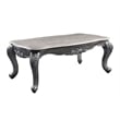 ACME Ariadne Rectangular Marble Top Wooden Coffee Table in Platinum Gray