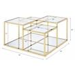 ACME Uchenna Glass Top Coffee Table with Metal Frame in Clear Glass and Gold