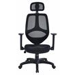 ACME Arfon Plastic Gaming Chair with Mesh Metal Back in Black