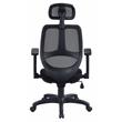 ACME Arfon Plastic Gaming Chair with Mesh Metal Back in Black