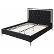 ACME Rowan Crystal-Like Tufted Fabric Queen Platform Bed in Black