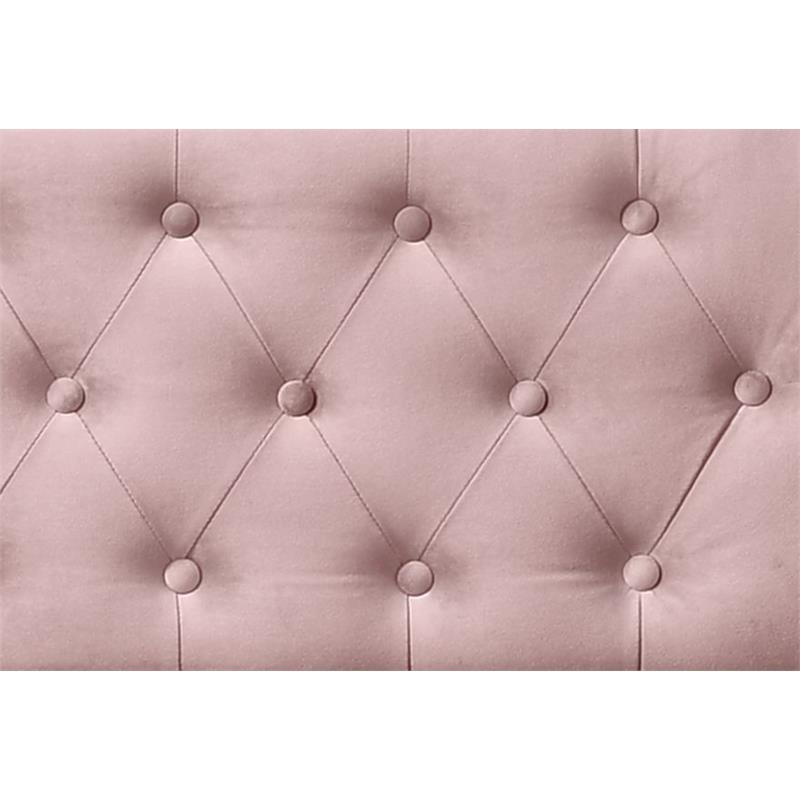 ACME Lianna Button Tufted Velvet Upholstered Twin Daybed and Trundle in Pink