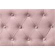 ACME Lianna Button Tufted Velvet Upholstered Twin Daybed and Trundle in Pink