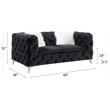 ACME Phifina Button Tufted Velvet Upholstered Loveseat with 2 Pillows in Black