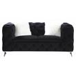 ACME Phifina Button Tufted Velvet Upholstered Loveseat with 2 Pillows in Black