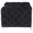 ACME Phifina Button Tufted Velvet Upholstered Loveseat with 2 Pillows in Black