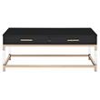 ACME Adiel Wooden Coffee Table with 2 Storage Drawers in Black and Gold