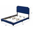 ACME Haemon Fabric Upholstered Queen Bed with Nailhead Trim in Blue