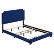ACME Haemon Fabric Upholstered Queen Bed with Nailhead Trim in Blue