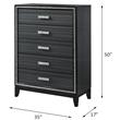 ACME Haiden 5-Drawer Wooden Chest with Shimmering Trim in Weathered Black