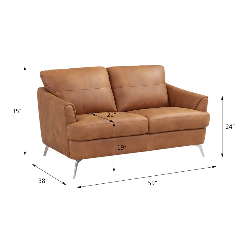 ACME Safi Loveseat in Cappuccino Leather