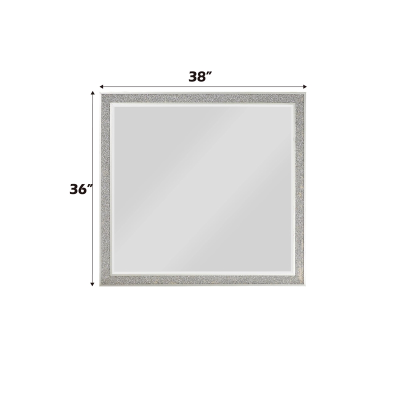 ACME Sliverfluff Rectangular Wooden Mirror in Mirrored and Champagne