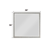 ACME Sliverfluff Rectangular Wooden Mirror in Mirrored and Champagne