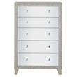 ACME Sliverfluff Wooden Chest with 5 Storage Drawers in Mirrored and Champagne