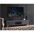 ACME Raceloma Wooden 2-Drawer TV Stand with LED Lighting in Gray and Chrome