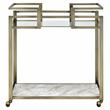 ACME Neilo Metal Frame Serving Cart with Glass Top Shelf in Clear and Wire Brass