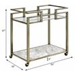 ACME Neilo Metal Frame Serving Cart with Glass Top Shelf in Clear and Wire Brass