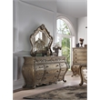 ACME Ragenardus Wooden Traditional Bedroom Mirror in Vintage Oak