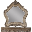 ACME Ragenardus Wooden Traditional Bedroom Mirror in Vintage Oak