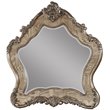ACME Ragenardus Wooden Traditional Bedroom Mirror in Vintage Oak