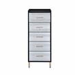 ACME Myles Jewelry Armoire in Black & Gold Finish