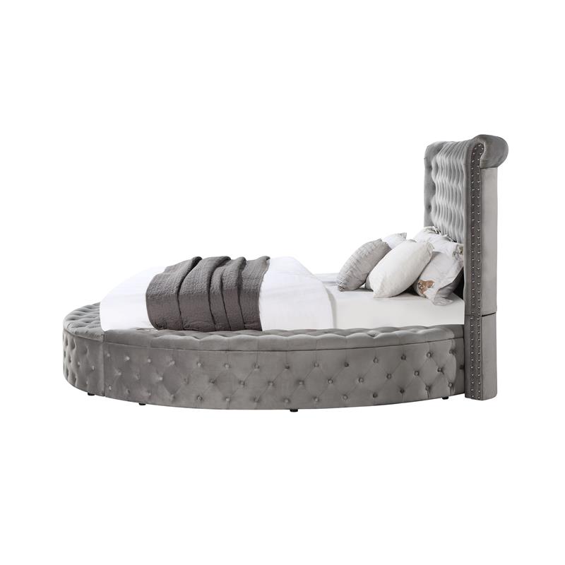 ACME Gaiva Queen Bed with Storage in Gray Velvet