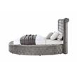 ACME Gaiva Queen Bed with Storage in Gray Velvet