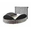 ACME Gaiva Queen Bed with Storage in Gray Velvet