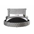 ACME Gaiva Queen Bed with Storage in Gray Velvet