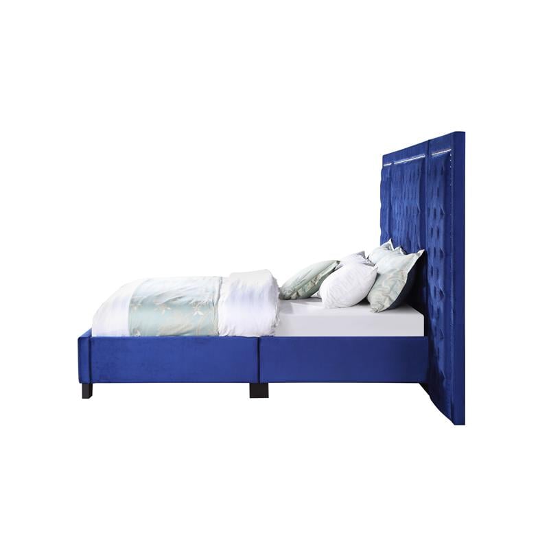 ACME Damazy Queen Bed in Blue Velvet