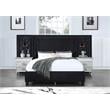 ACME Damazy Eastern King Bed in Black Velvet