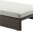 ACME Salena Patio Sun Lounge in Beige Fabric & Gray Finish