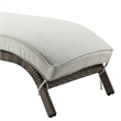 ACME Salena Patio Sun Lounge in Beige Fabric & Gray Finish